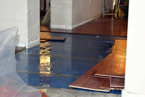 Professional Basement Flood Cleanup technician working in Franklin, WI